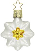 Edelweiss Stern / Star<br>Alpine Flower